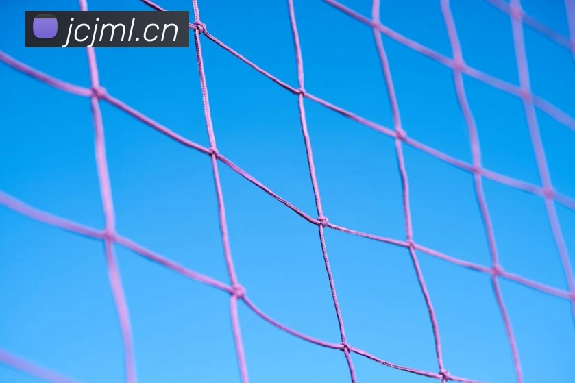 乐竞网站服务体系